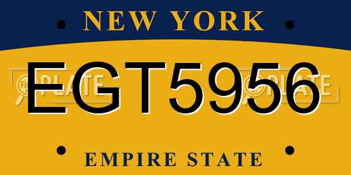 EGT5956 New York License Plate