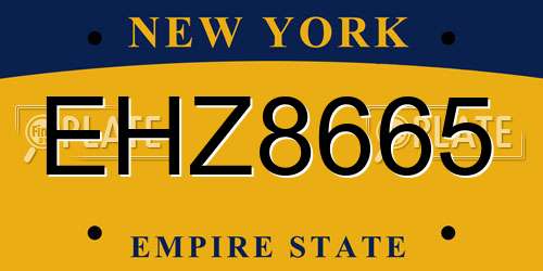 EHZ8665 New York License Plate