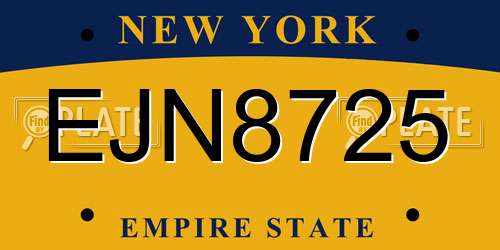 EJN8725 New York License Plate