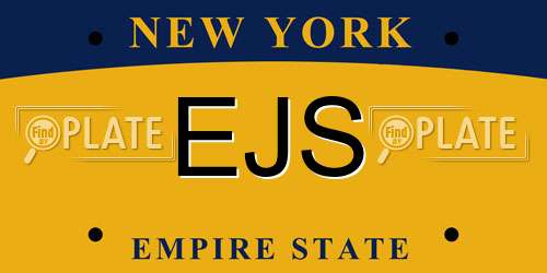 EJS New York License Plate
