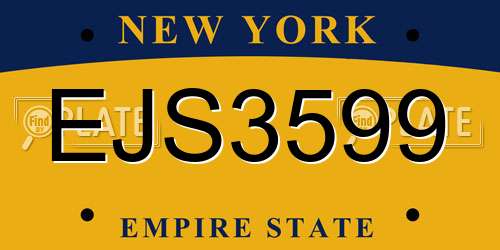 EJS3599 New York License Plate