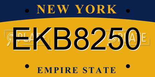 EKB8250 New York License Plate