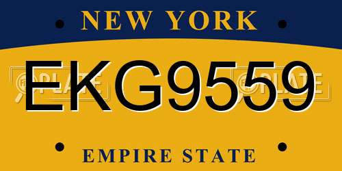 EKG9559 New York License Plate