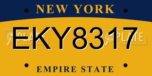 EKY8317 New York License Plate