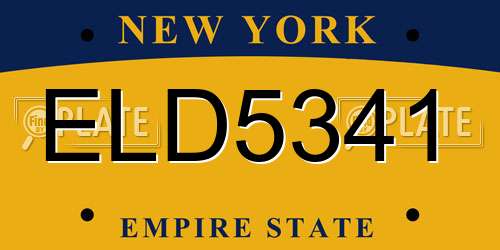 ELD5341 New York License Plate