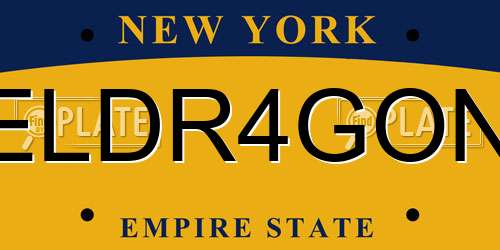 ELDR4GON New York License Plate