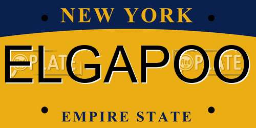ELGAPOO New York License Plate