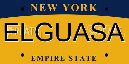 ELGUASA New York License Plate