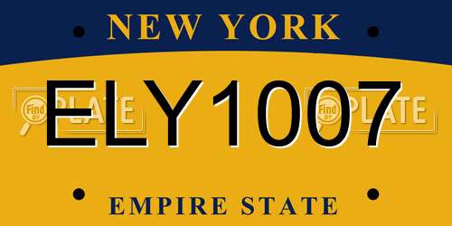 ELY1007 New York License Plate