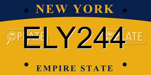 ELY244 New York License Plate