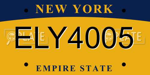 ELY4005 New York License Plate