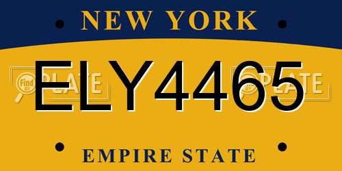 ELY4465 New York License Plate