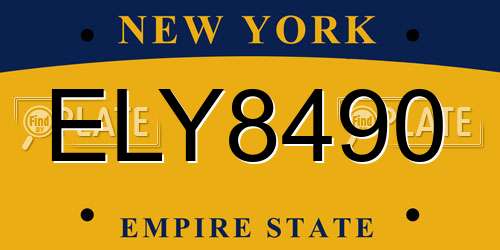 ELY8490 New York License Plate