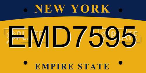 EMD7595 New York License Plate