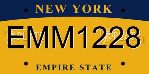 EMM1228 New York License Plate
