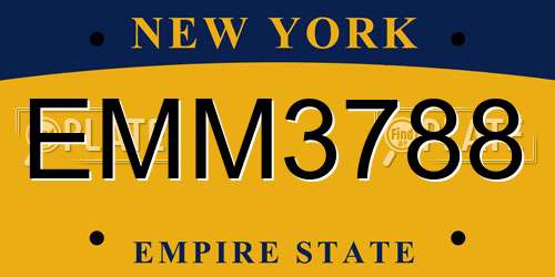 EMM3788 New York License Plate