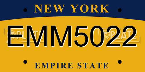 EMM5022 New York License Plate