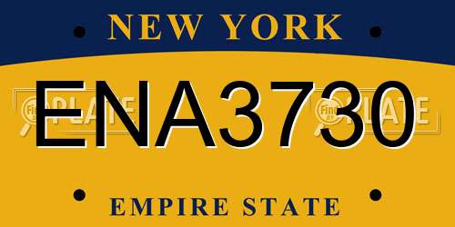 ENA3730 New York License Plate