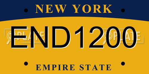 END1200 New York License Plate