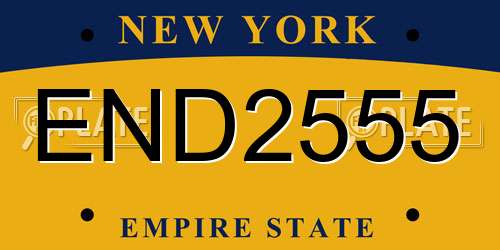 END2555 New York License Plate