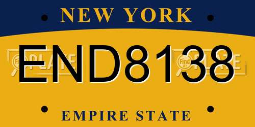 END8138 New York License Plate