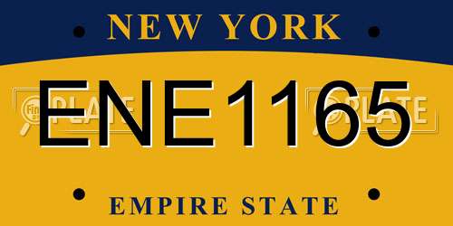 ENE1165 New York License Plate