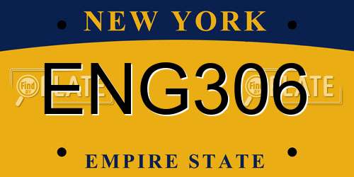 ENG306 New York License Plate