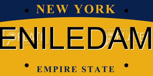 ENILEDAM New York License Plate