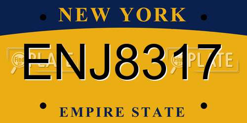 ENJ8317 New York License Plate