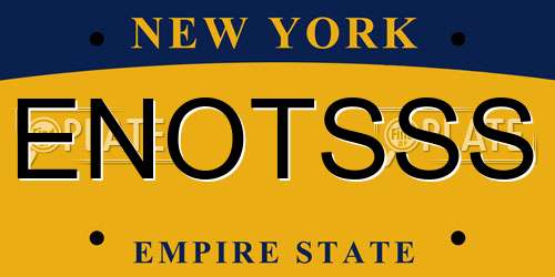 ENOTSSS New York License Plate