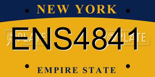 ENS4841 New York License Plate
