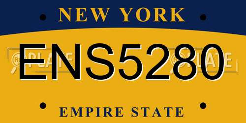 ENS5280 New York License Plate