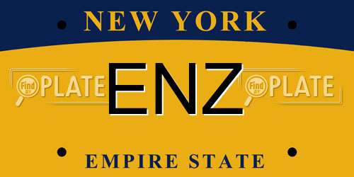 ENZ New York License Plate