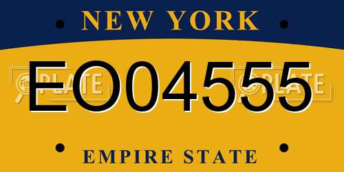 EO04555 New York License Plate