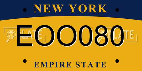 EOO080 New York License Plate