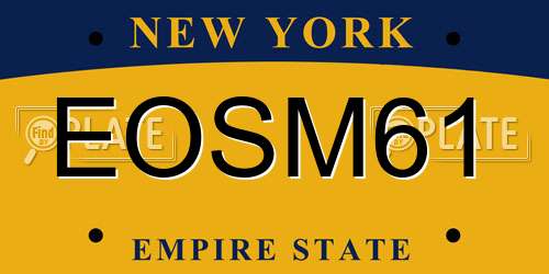 EOSM61 New York License Plate