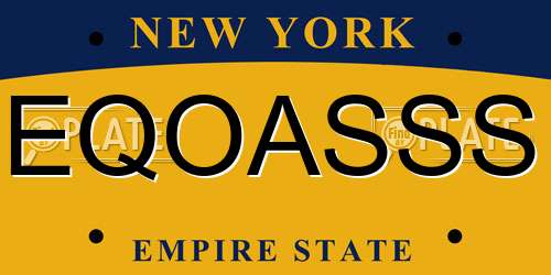 EQOASSS New York License Plate
