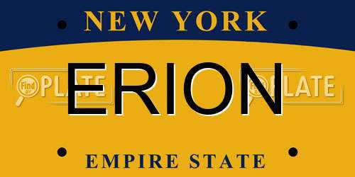ERION New York License Plate