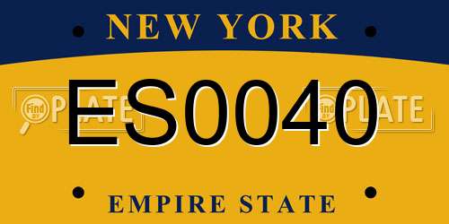 ES0040 New York License Plate