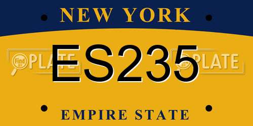 ES235 New York License Plate