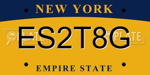 ES2T8G New York License Plate