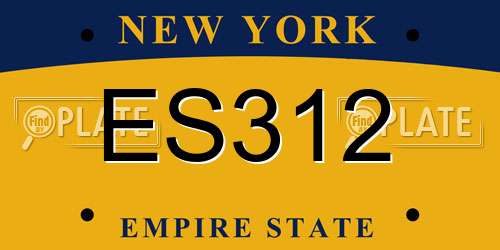 ES312 New York License Plate
