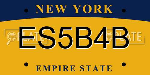 ES5B4B New York License Plate