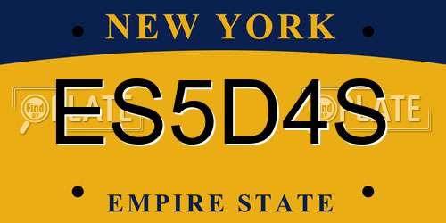 ES5D4S New York License Plate