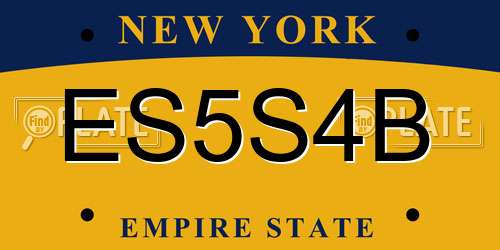 ES5S4B New York License Plate