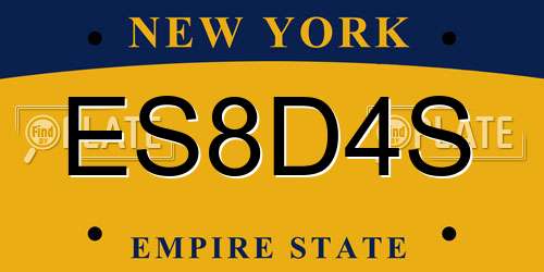ES8D4S New York License Plate