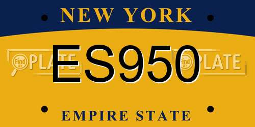 ES950 New York License Plate