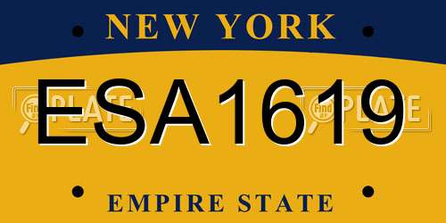 ESA1619 New York License Plate