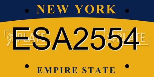 ESA2554 New York License Plate