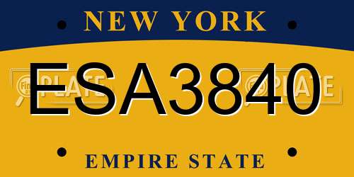 ESA3840 New York License Plate